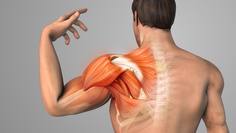 Understanding Chronic Shoulder Pain: How Shockwave Therapy Can Help Break the Pain Cycle