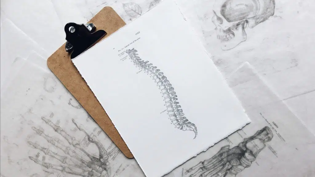 Chiropractor Screening