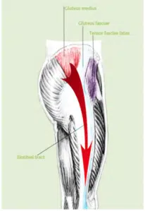 Image representation of GTPS